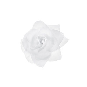 Rosen zum Aufkleben, weiß, 9cm (1 VPE / 24 Stk.)