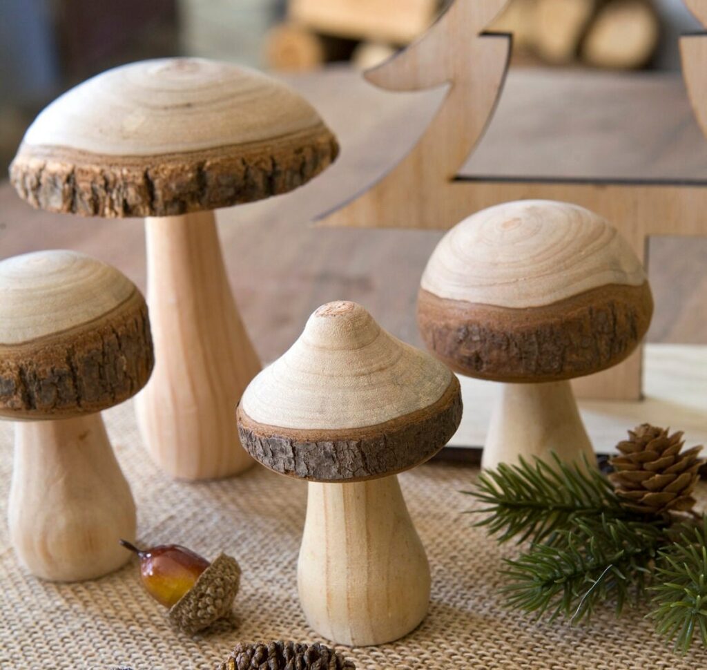 Pilze aus Holz mit Rand aus Rinde, 3 Stück im Set - Die Familienfeier
